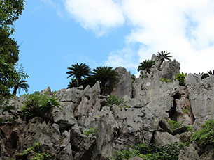 やんばる国立公園 大石林山